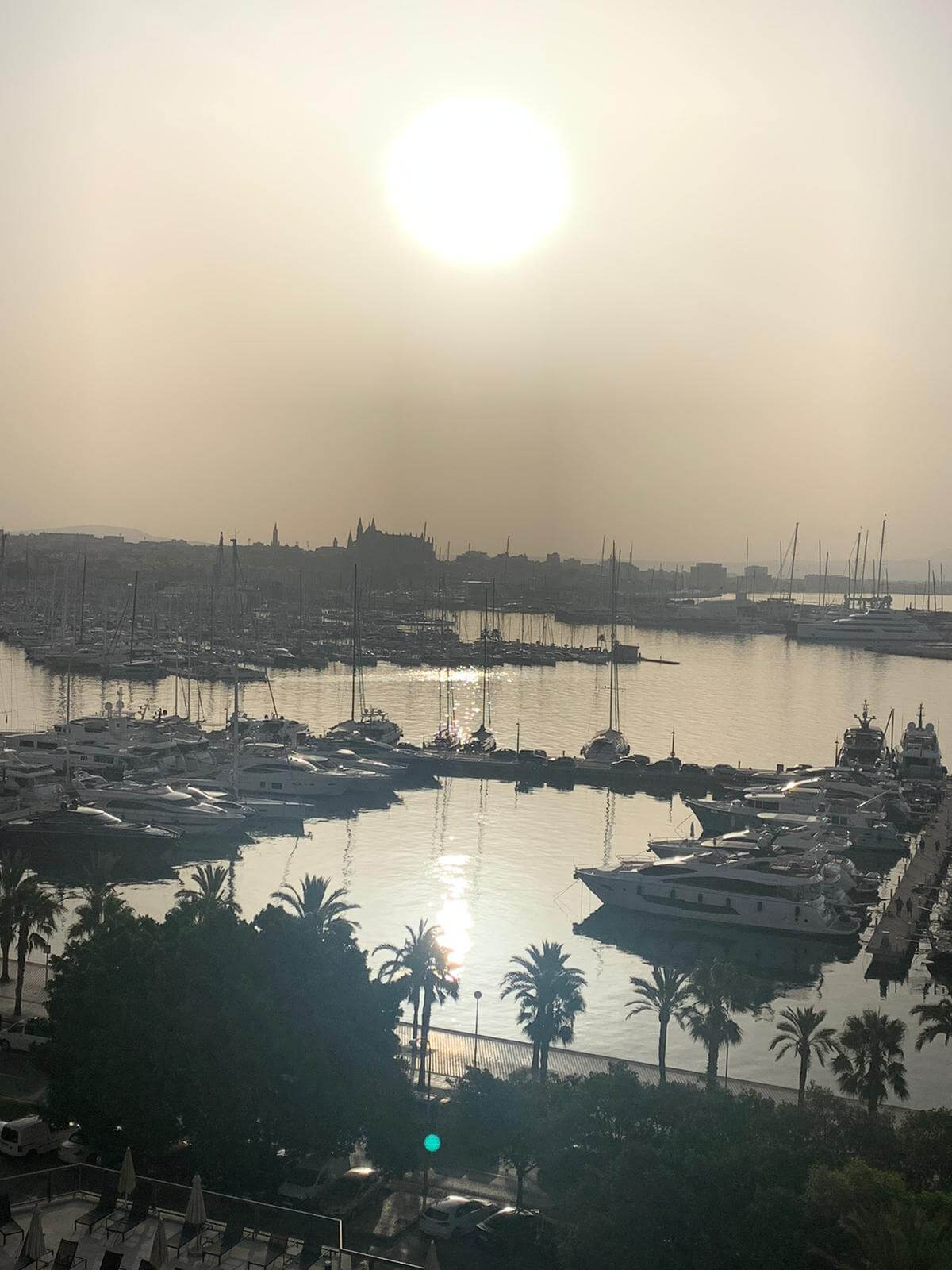 Ausblick Palma