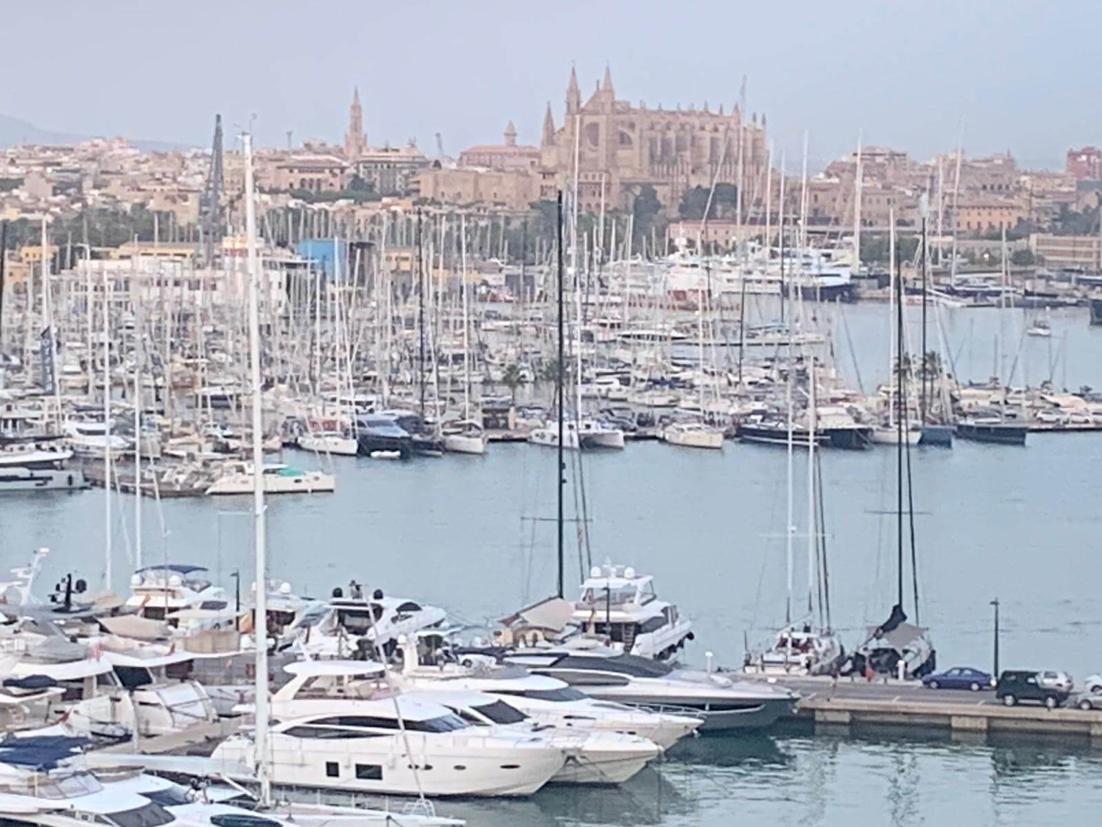 Hafen Palma
